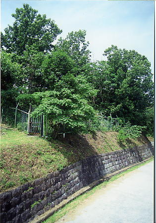 城山古墳群（一の塚・二の塚・三の塚）の画像