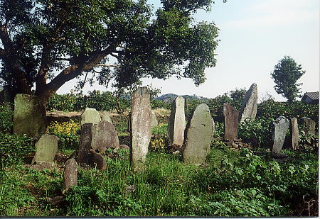 加藤家墓地の画像