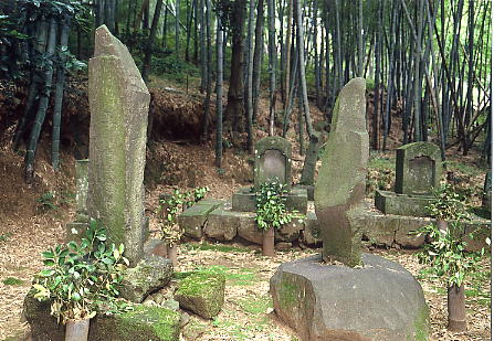 道家之山の墓の画像