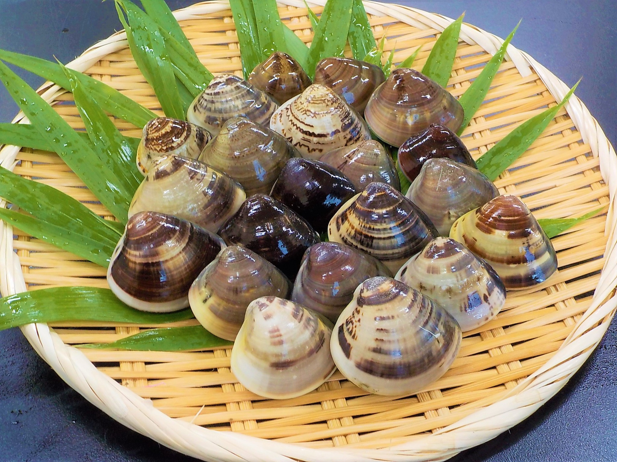 はまぐり
