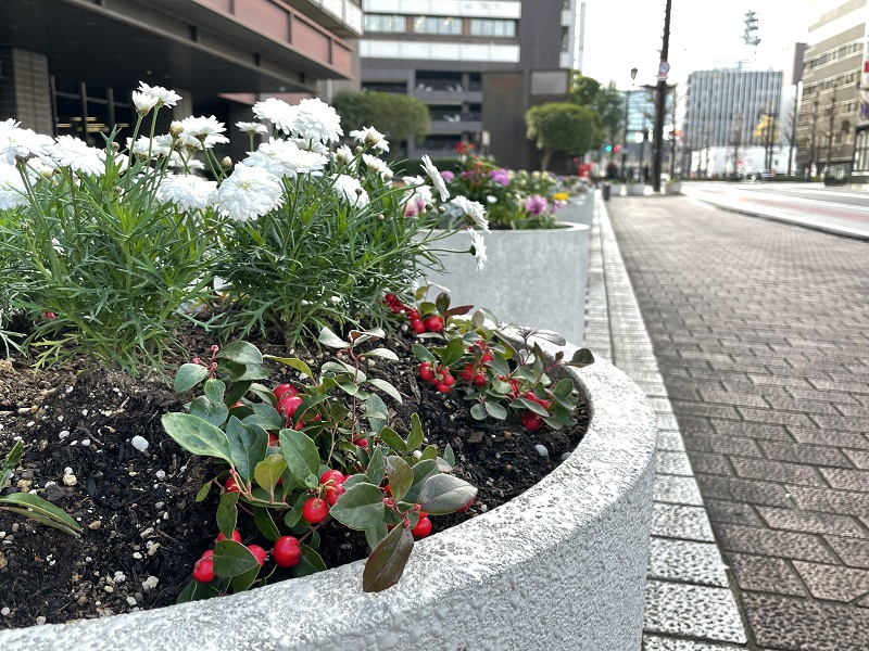 プランター プランター
