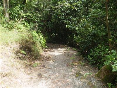 雁回山遊歩道 補修前