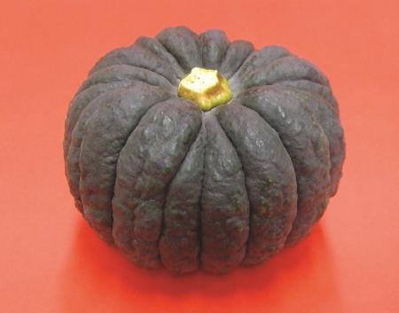熊本黒皮かぼちゃ