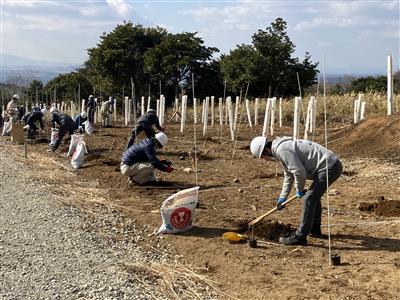 過去の活動風景
