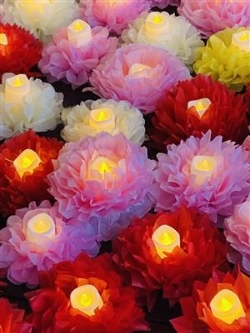 よるみちライト