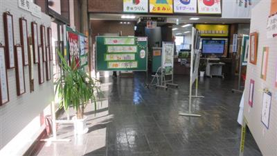 展示(5)