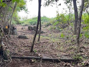 松尾町近津1-1(1)