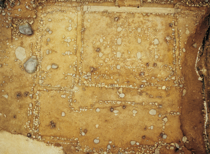 発掘された寺院跡（本堂建物群）