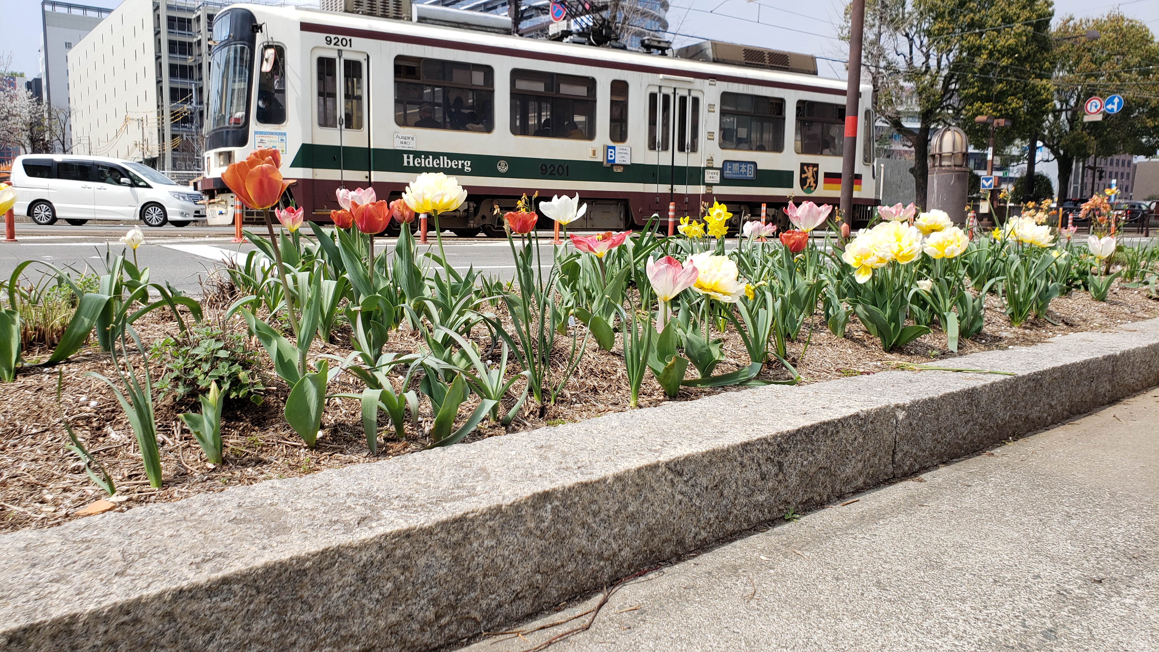 スポンサー花壇