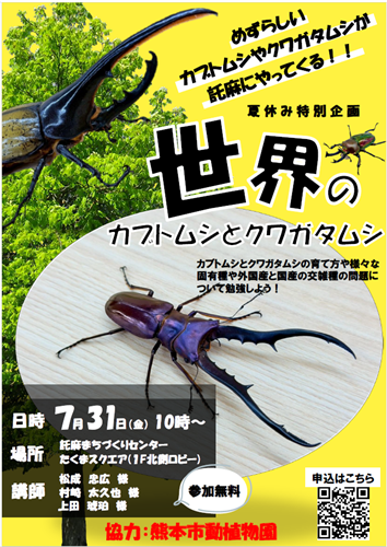世界のカブトムシとクワガタムシPNG