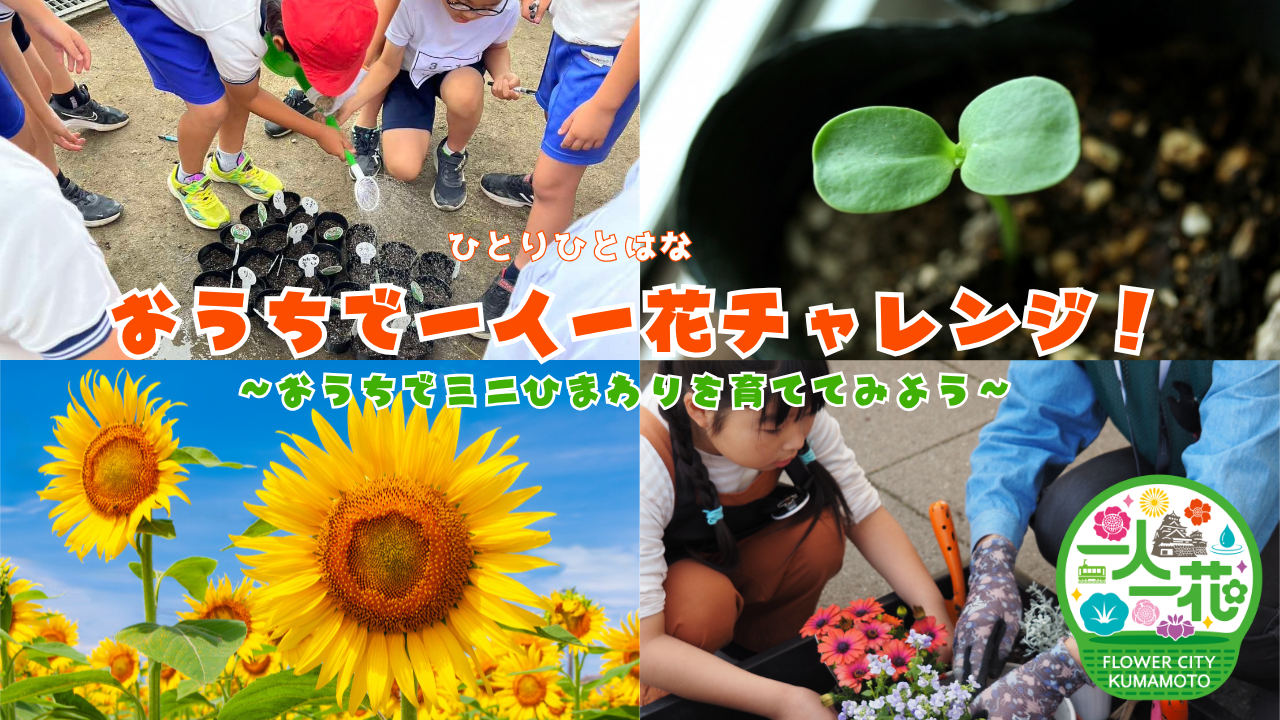 一人一花チャレンジサムネイル