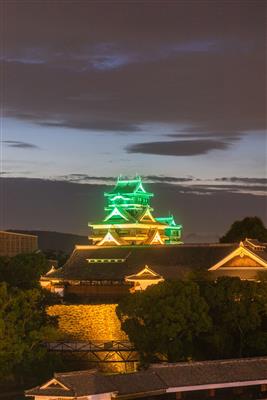 熊本城ライトアップ　写真