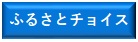ふるさとチョイス