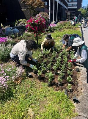 市役所前大花壇ボランティア活動