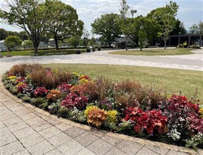 動植物園　花の休憩所前花壇メンテナンス作業