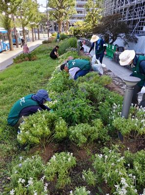 毎日街なか花壇メンテナンス作業