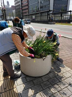 毎日街なか花壇メンテナンス作業