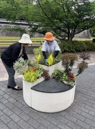 アクションプログラムの各エリアでの活動