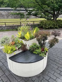 アクションプログラムの各エリアでの活動
