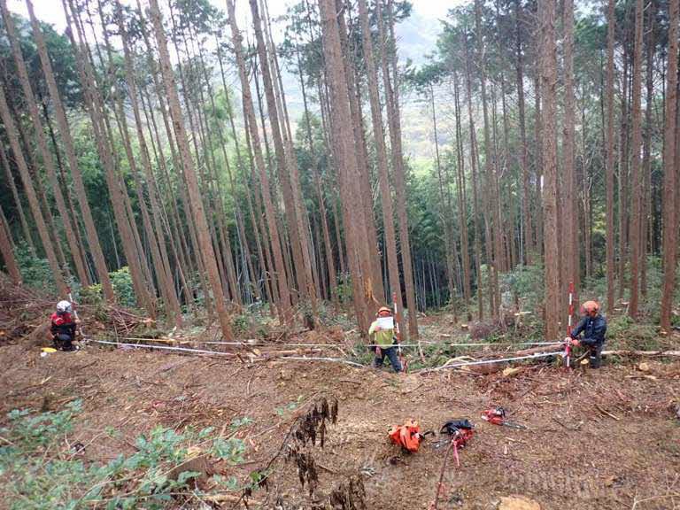 作業道開拓状況(2)