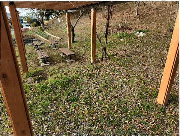 s-神園山小山山(1) 着工前