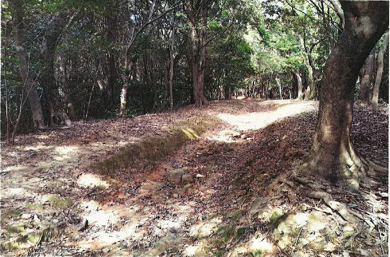 s-戸島山緑地(1) 着工前