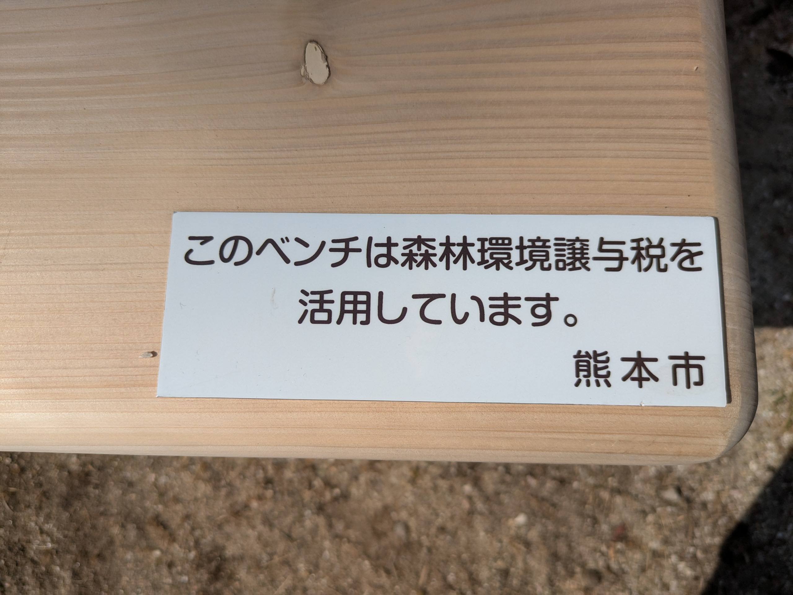 木材を利用したベンチ整備 (2)