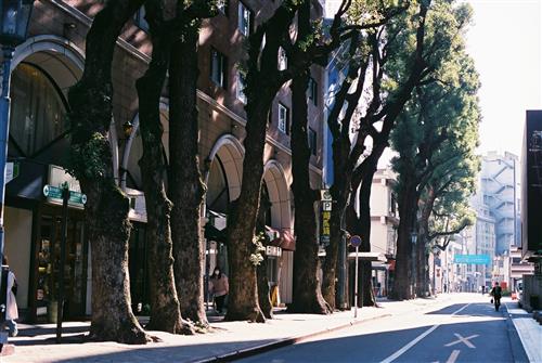オークス通り