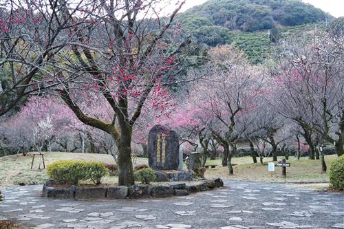 谷尾崎梅林公園