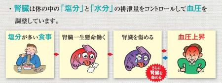 なぜ血圧が高くなるの