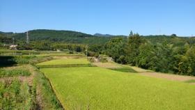 田園風景