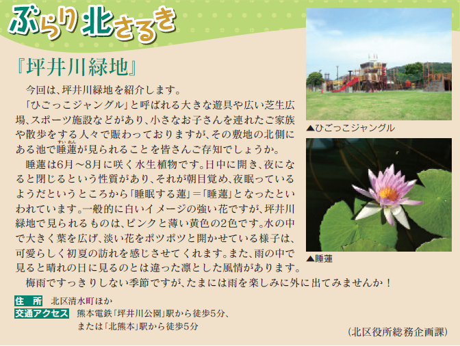 坪井川緑地