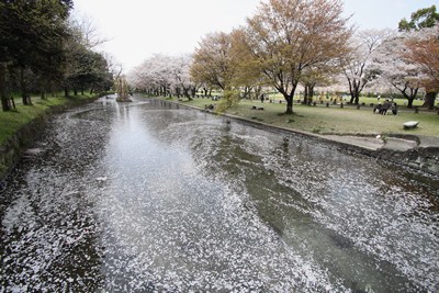水面模様