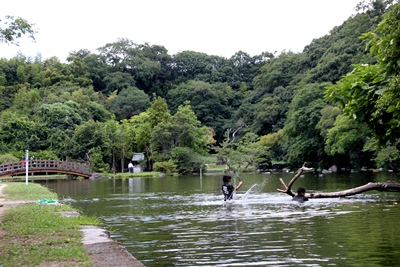 夏の八景水谷公園