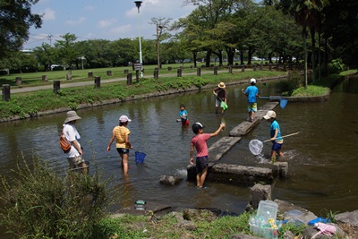 夏休み