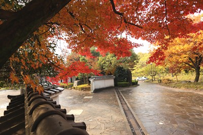 公園入口のおもてなし