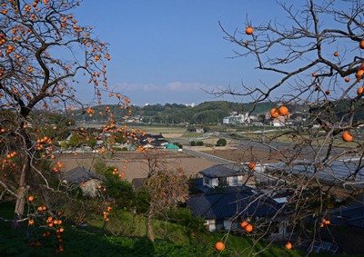 晩秋