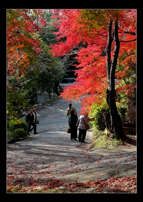 紅葉狩り
