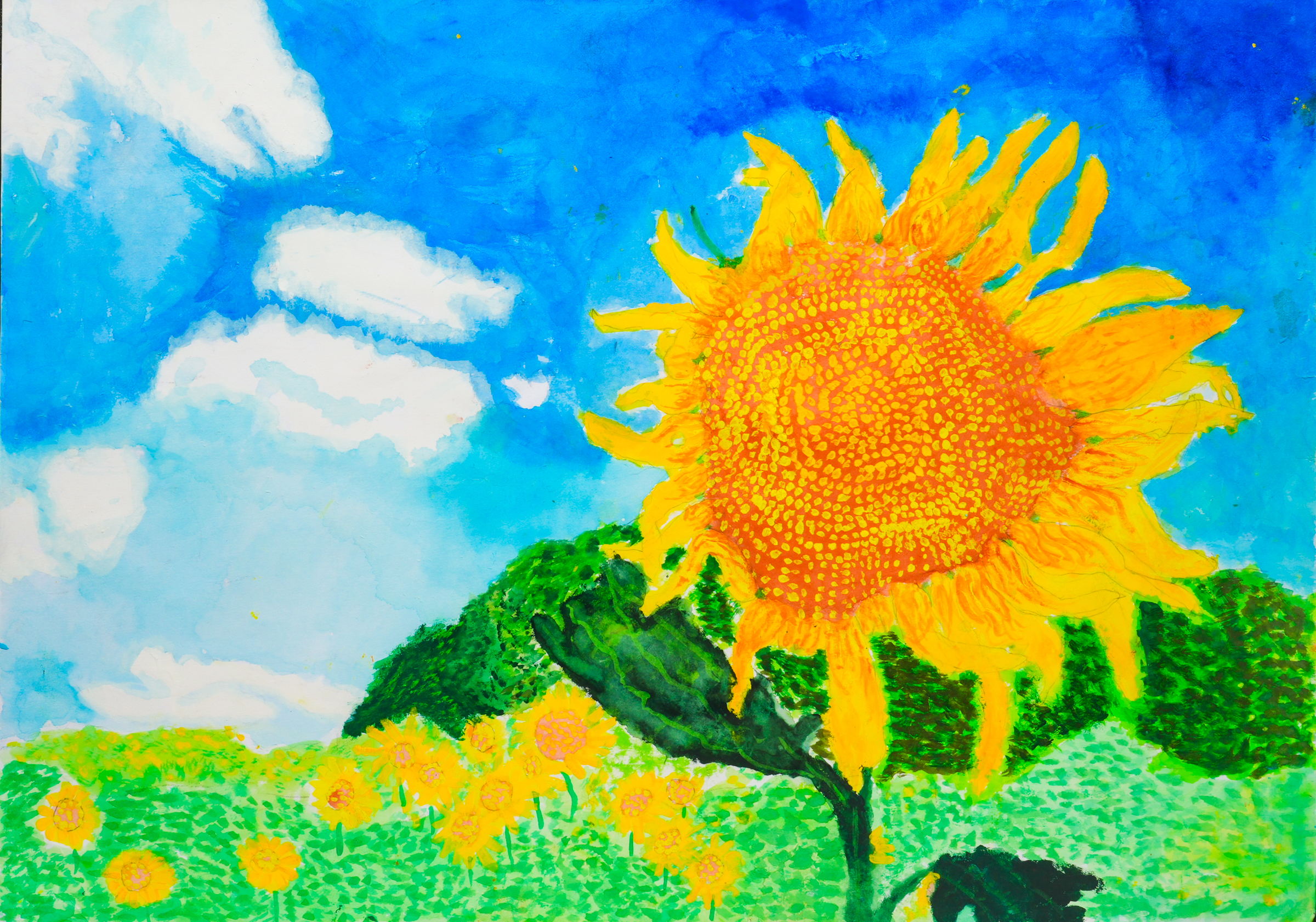 城北3年）林海龍さん