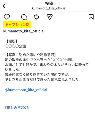 フィード投稿例