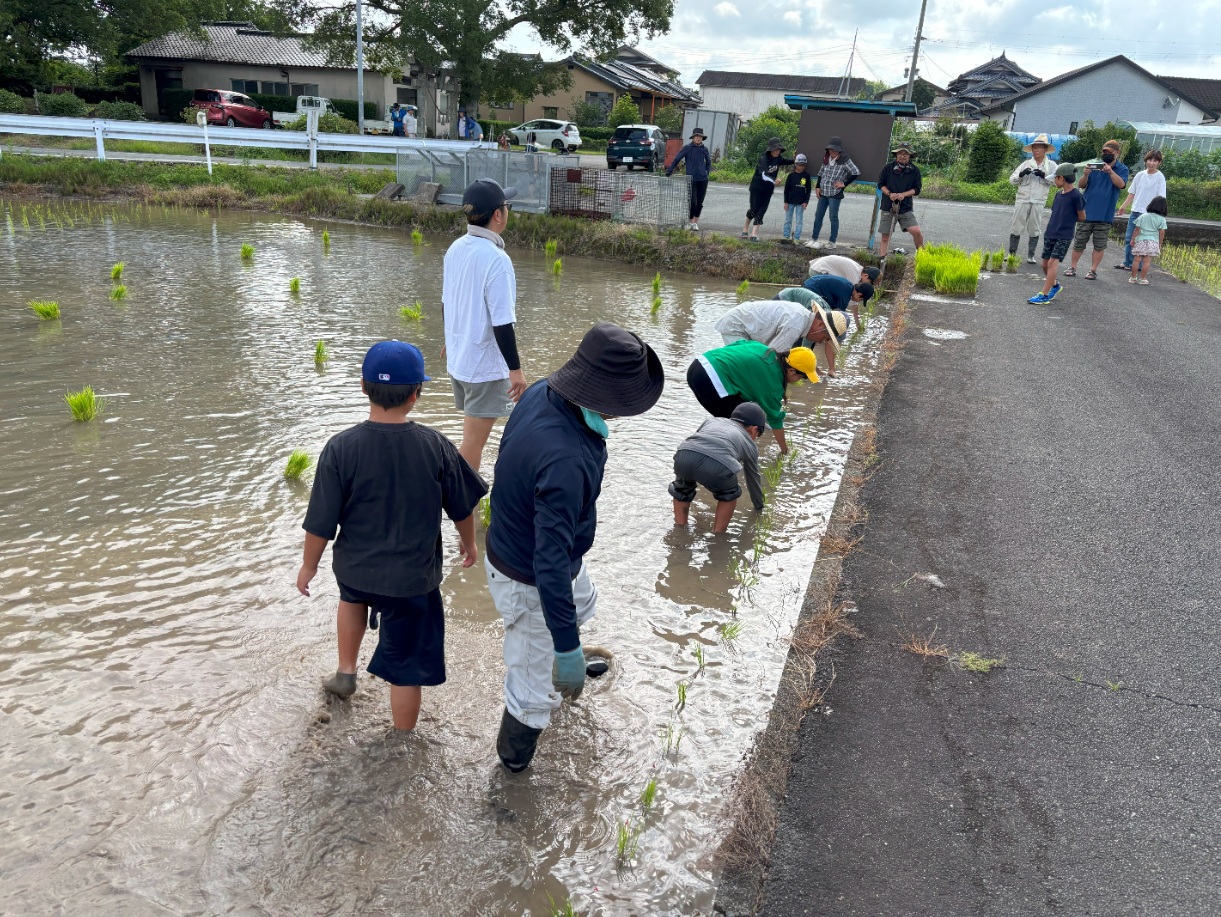 中緑小田植え(1)