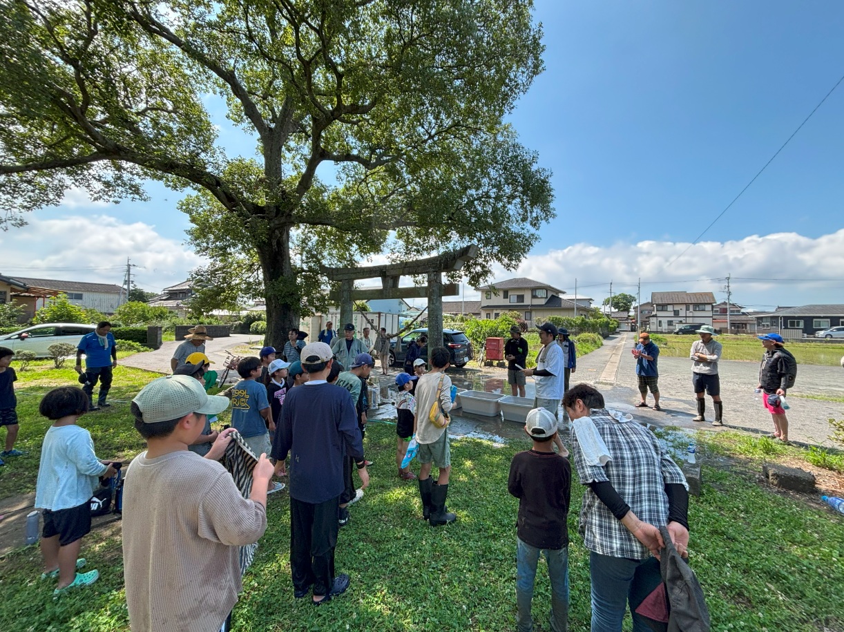 中緑小田植え(3)