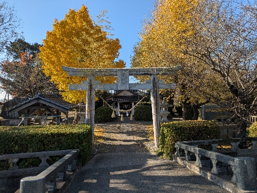 PXL_20251209_045818059