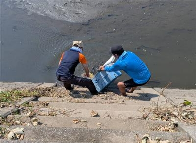 酸欠魚お助け隊