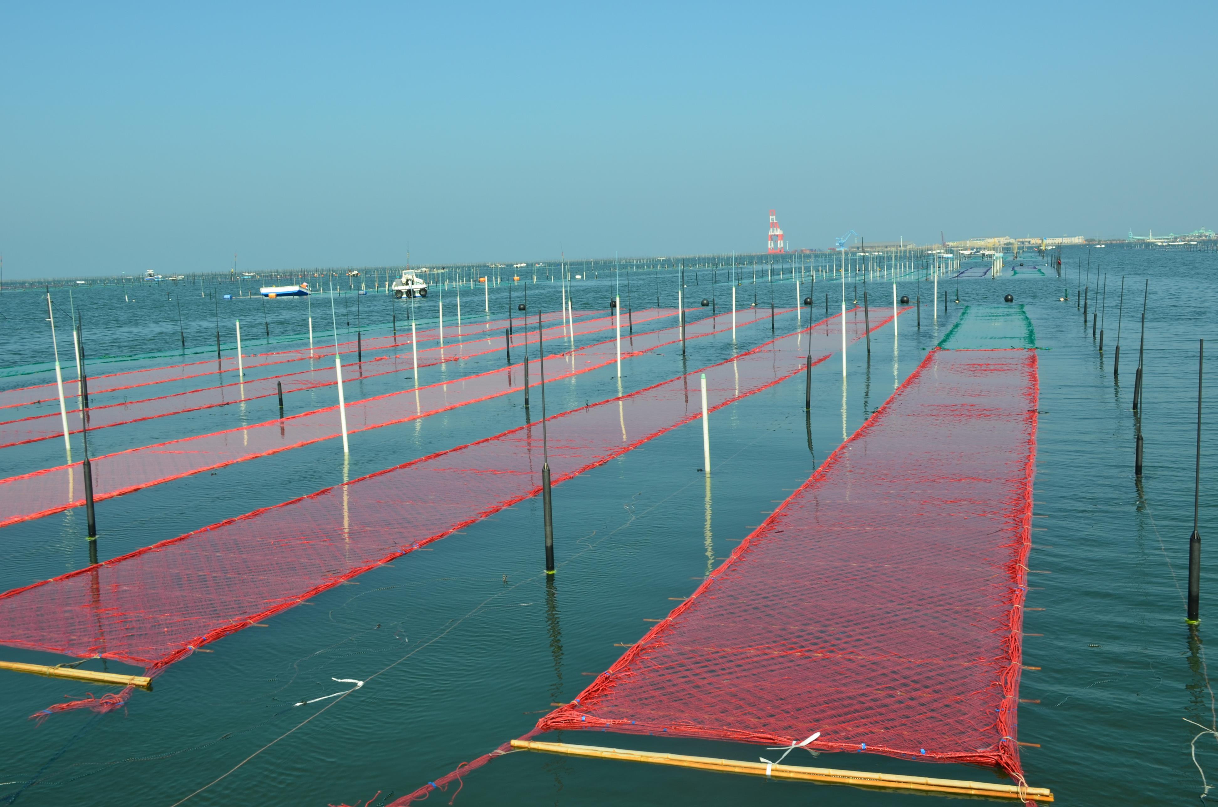網流し 網流し
