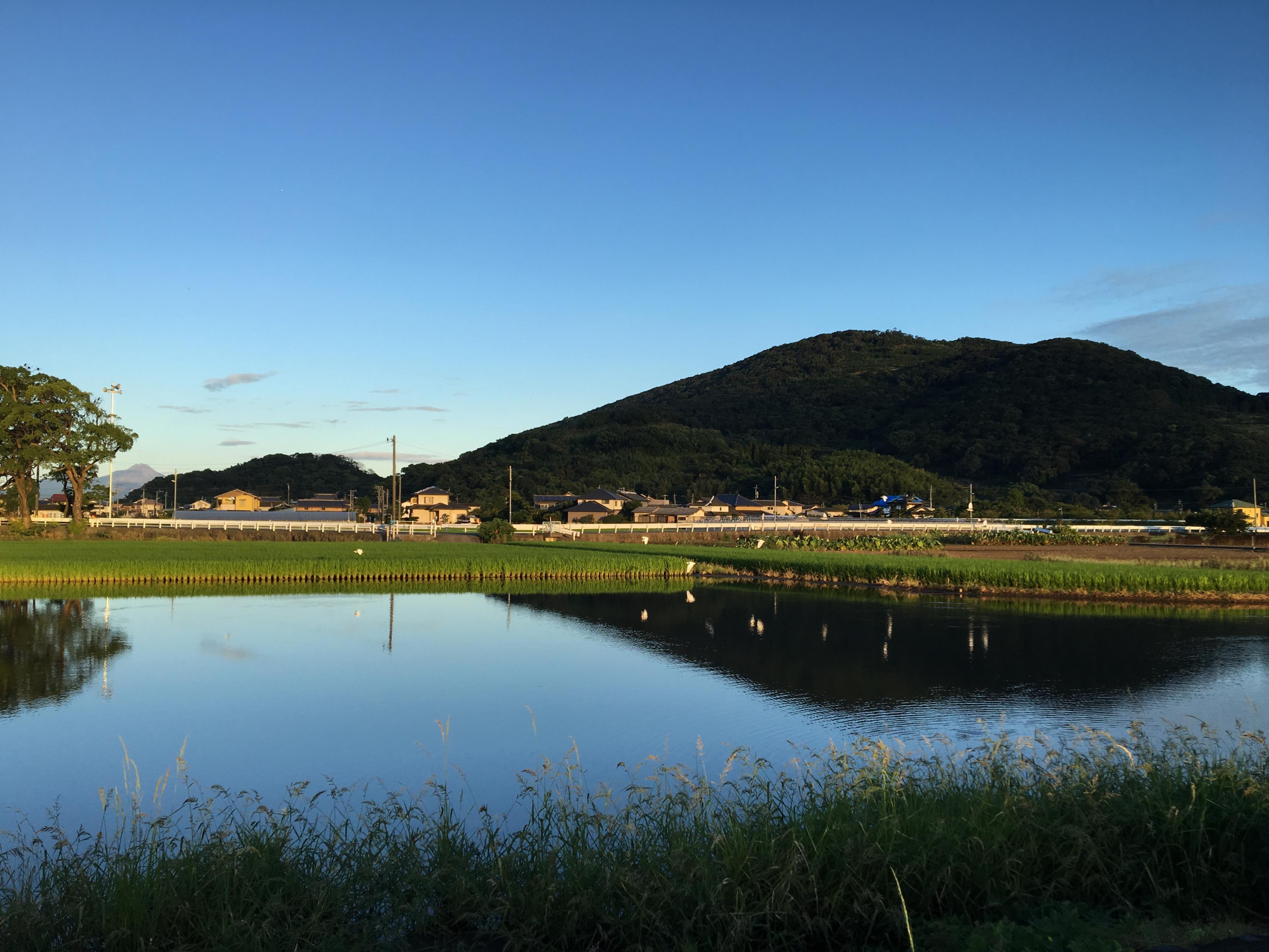 水田 水田