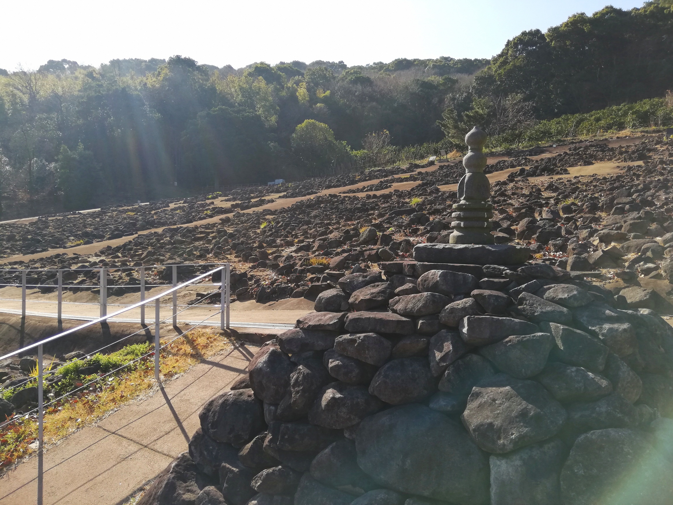 キラキラ輝く池辺寺跡 キラキラ輝く池辺寺跡