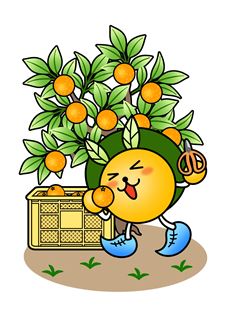 みかん狩りをしているにしまる