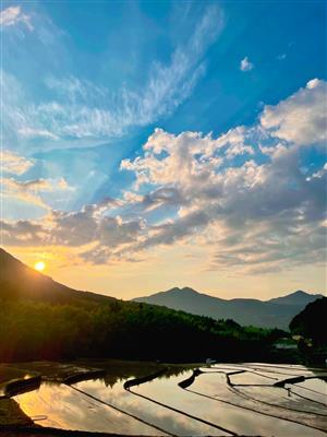 棚田と夕陽