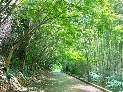 大自然にできたトンネル